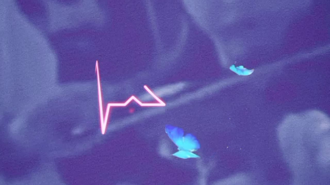 Sweet angel 🌺💗😇🤍🙏🕊️