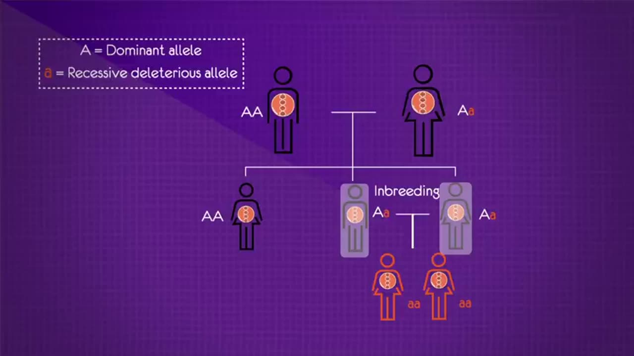 Selective Breeding | Evolution | Biology | FuseSchool