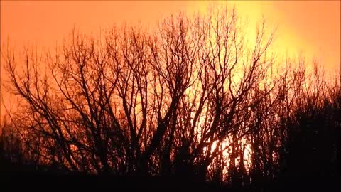 Reflections of a Christmas Sunset