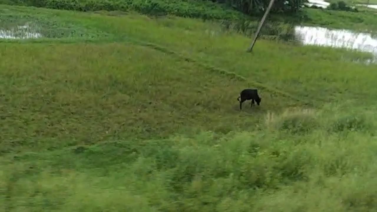 Train running