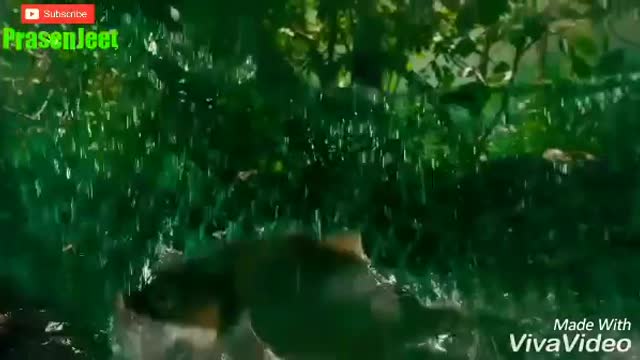 😂_So_Funny_😂_Videos
