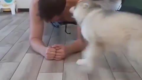 Husky workout