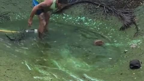 Crazy and Funny Videos!