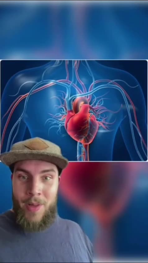 Your Heart Is A Vortex Generator