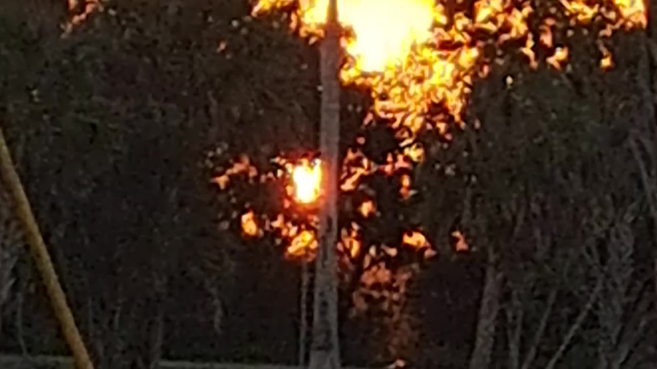 The prayer of a righteous man availeth MUCH. 2/11/24 Naples, Florida