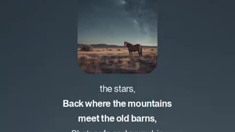 The song " search the city"