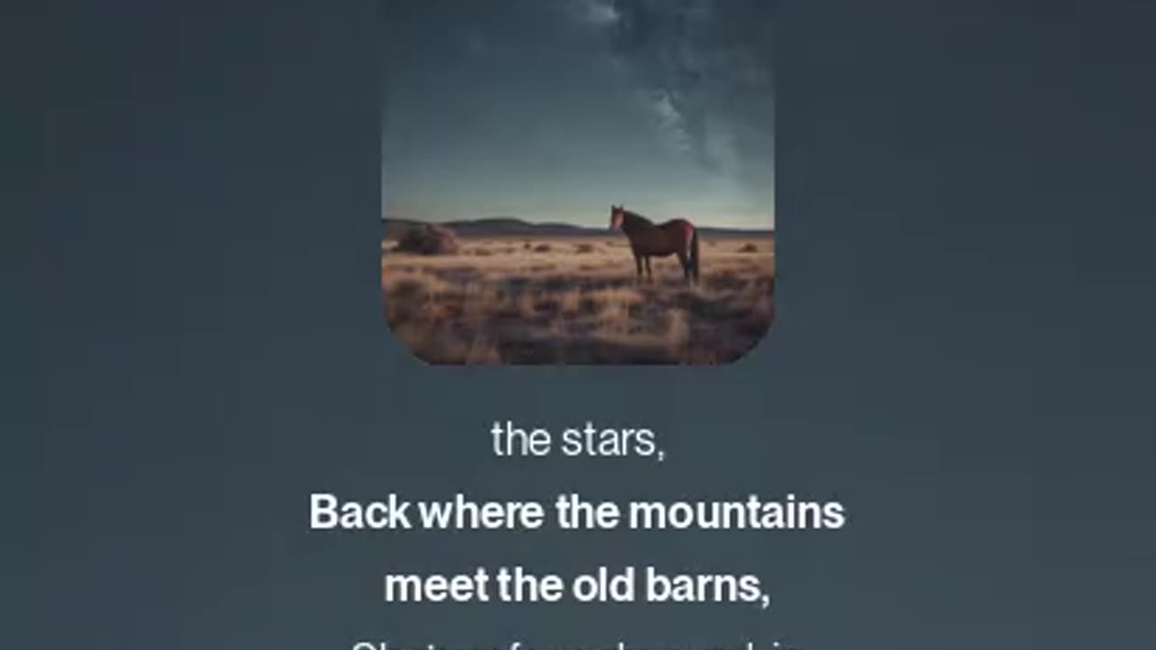 The song " search the city"