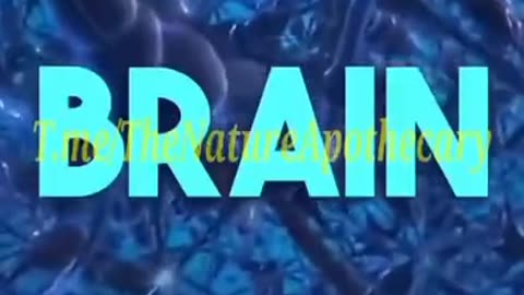 Why Turmeric is important