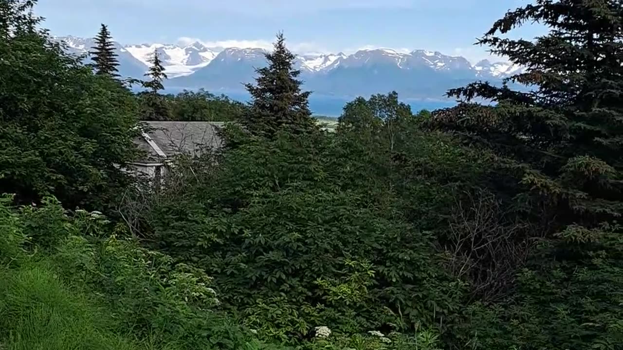 Homer Spit and the Kachemak Bay looking from East Hill road. 7/21/23