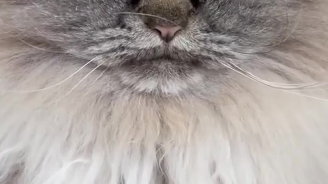 Different moods