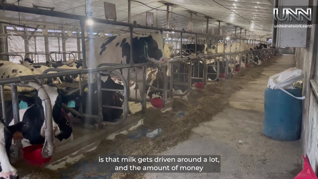 Milk's journey: from farm to table.