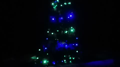 3.12.2024 Christmas in Kuranda (2)