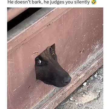 what is he doing? 😂