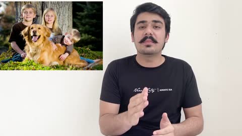 Golden retriever # Golden retriever puppies price in India # Best Family dog Golden Retriever Dog