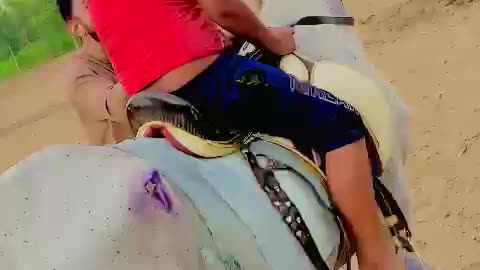 Horse Riding #viral