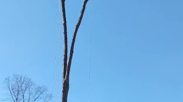 Could you do it?