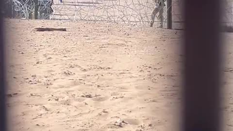 'Absolute Chaos': Illegal Alien Mob Overruns Texas National Guard At The Border - Part 3