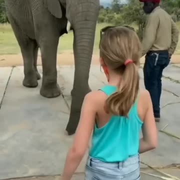 Elephant imitating the girl’s dance
