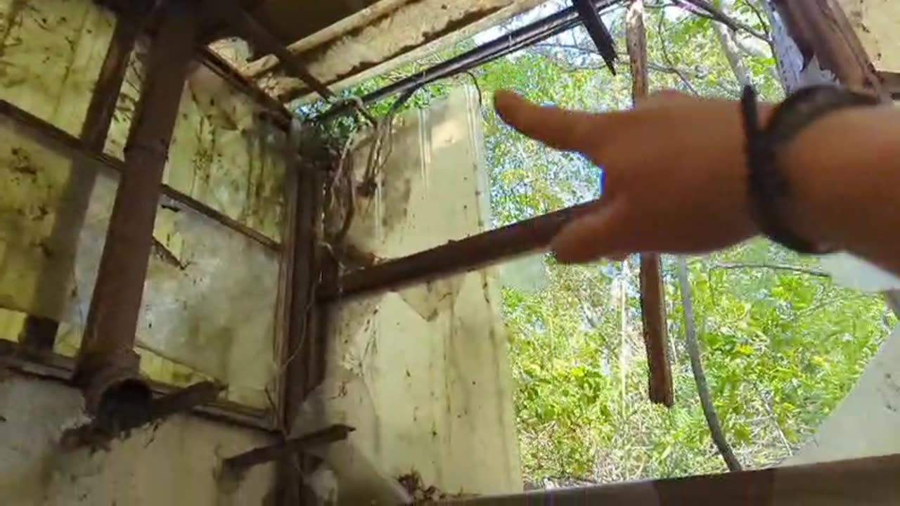 2023-04-25 (6) - cabane de jardin abandonnée - Twitch Decheterie