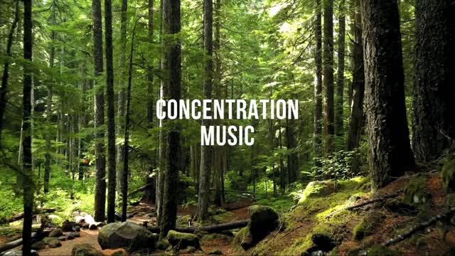 Concentration music