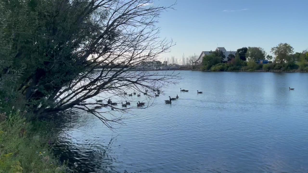 Stunning sunshine to have a morning walk. At Lakefront Promenade park Mississauga.