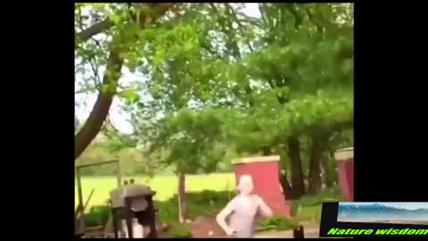 Funny Video Chickens Chasing Kids And Dogs.