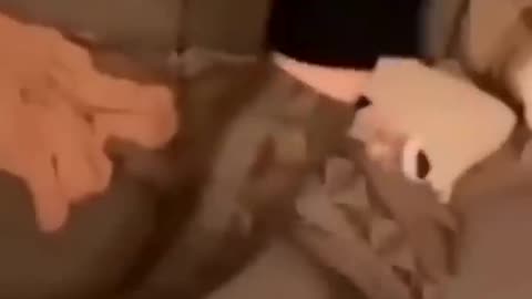Epic Fails