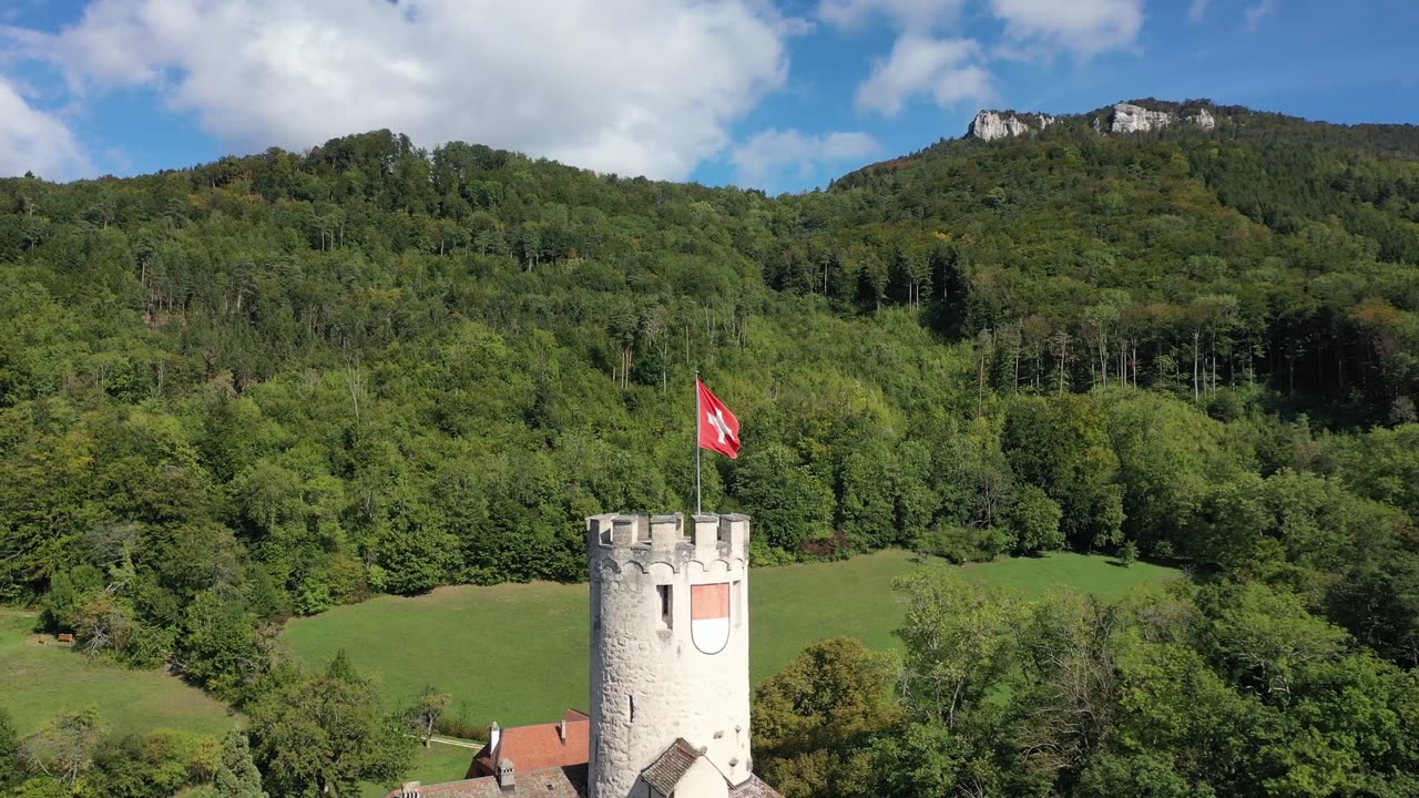 The Building is in the Forests of Switzerland_The City of Nature_Switzerland