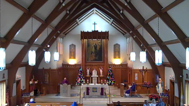 Gospel Reading and Homily, Rev. Mr. Tom Hupertz, Mass at Noon 120521AD 2nd Sun Advent