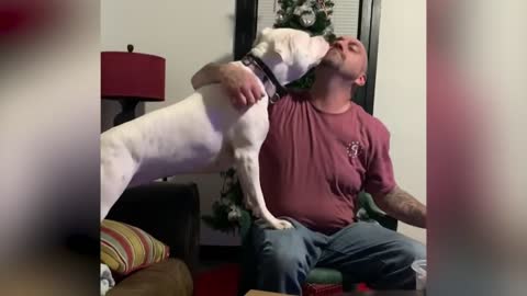 Dog get really jealous when you say”I love you“ to your wife and ignore her.