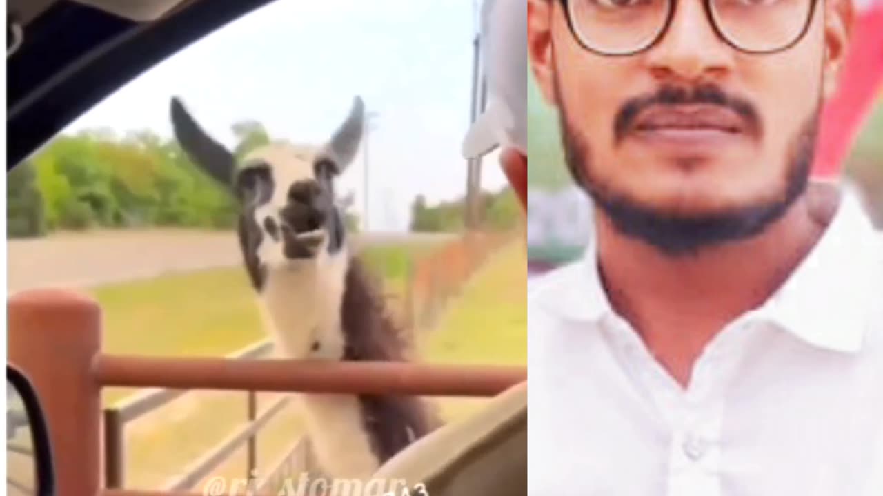 Mera new video#viral#trending#new creator#dialogue