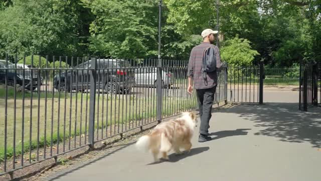 A man walks out of the park with his dog