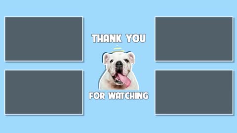 Laugh A Lot At These Funny Dogs Reactions| Pets Town