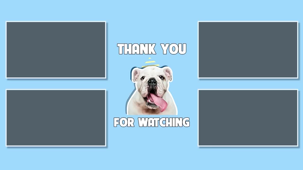Laugh A Lot At These Funny Dogs Reactions| Pets Town