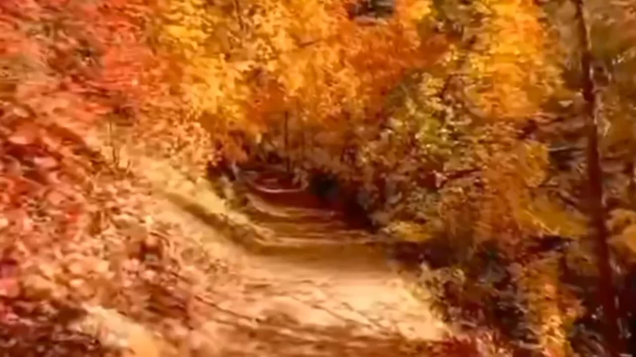 Escape