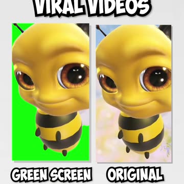 Bee Raising Eyebrows | Green Screen vs Original