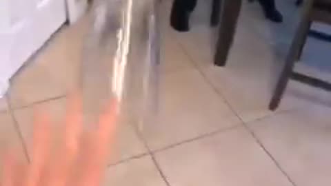 PRO TIP Cover Up The Sound of Your Fart By Dropping Something