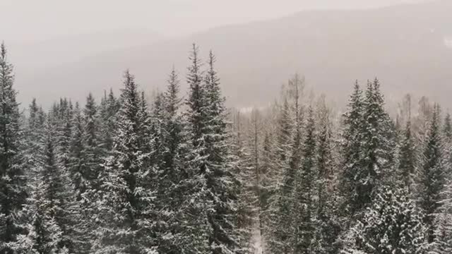 Relaxing Music | Sleeping, Meditation, Stress Relief | [1176] ⭐️