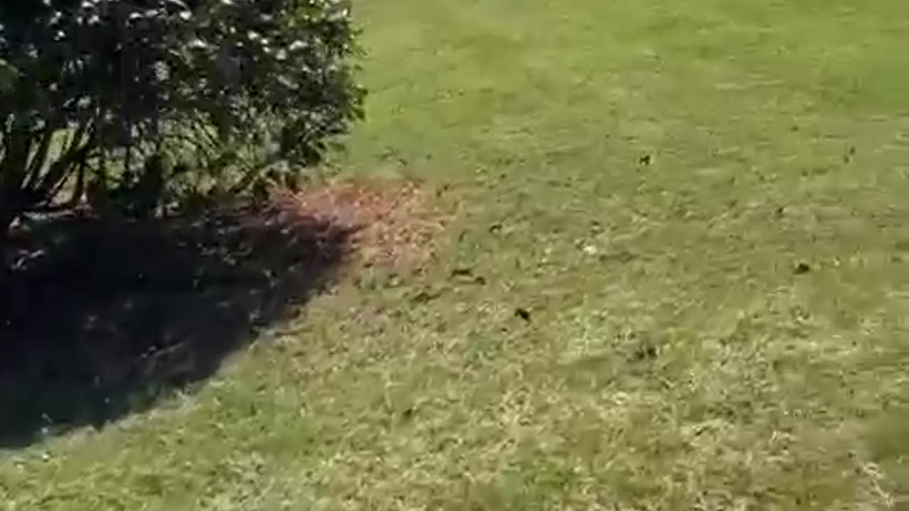 How to use your car to generate greater income everday