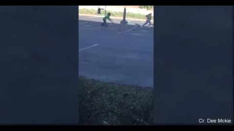 Animals Chasing People!😂