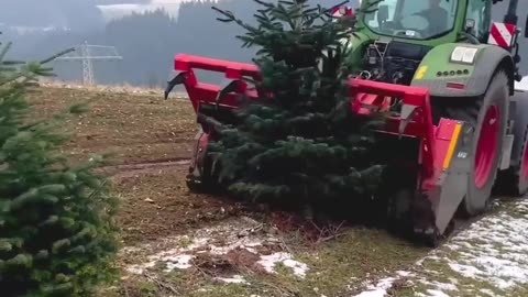 CRC vídeos curiosos