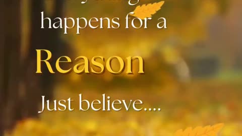 Everything happens for a reason