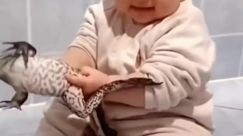 Baby playing with frog