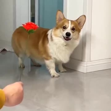 Get right behind me Satan 😂😂