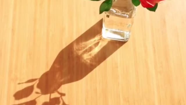 Who stole the shadow