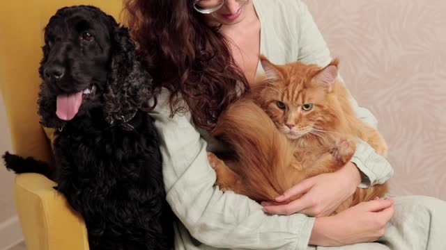 Women playing with dog and cat