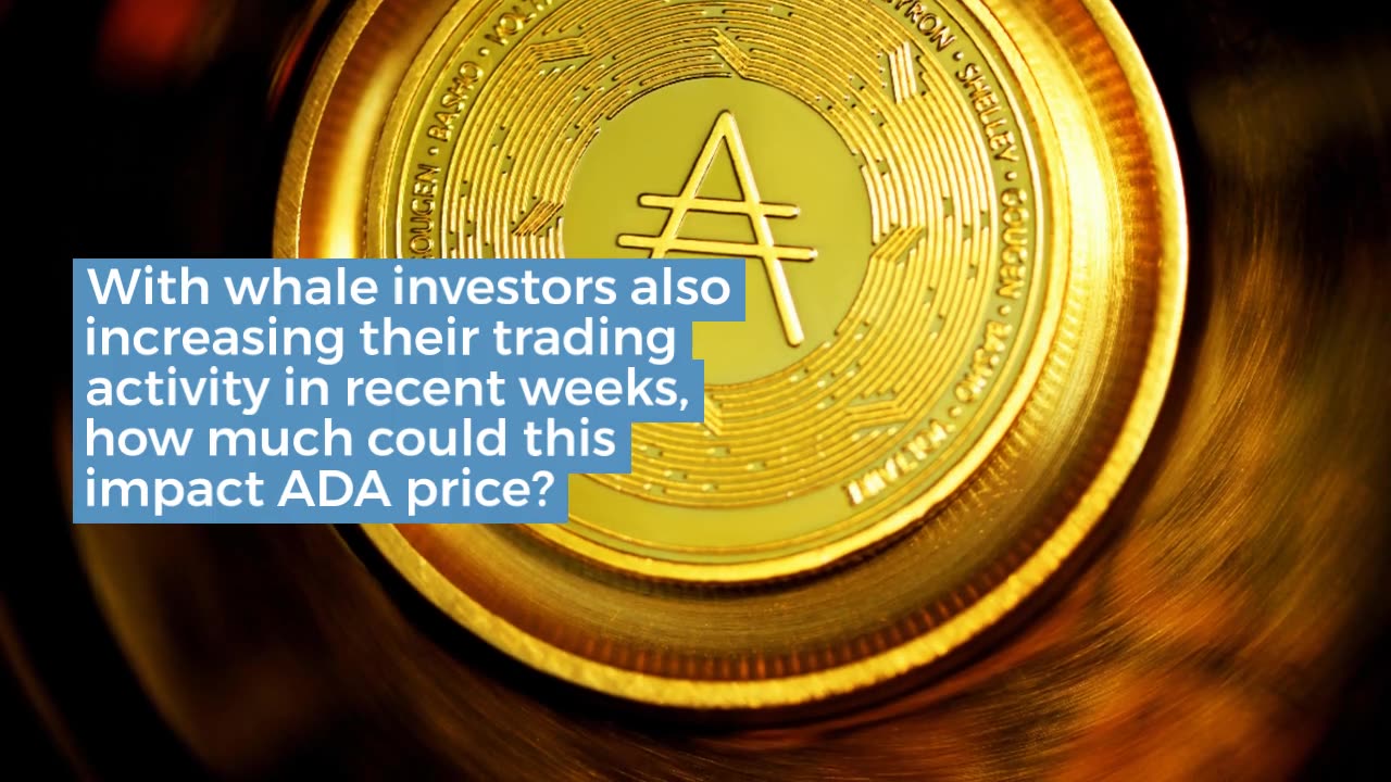 Cardano (ADA) Whales Target $0.50 as Transaction Volumes Hits 2023 Peak