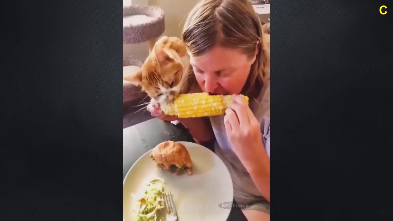 Can You Watch Without Laughing