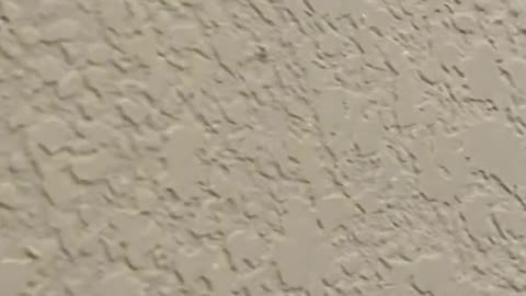 How to repair drywall