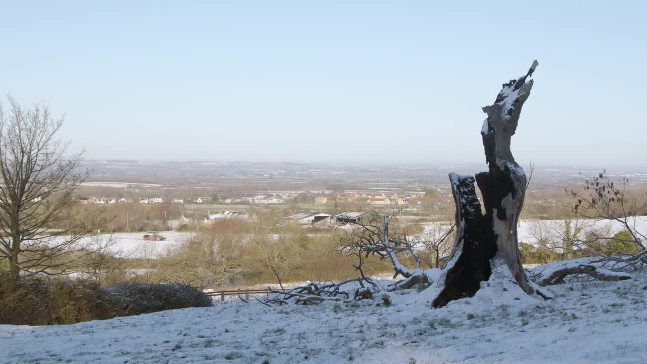 Panning Shot of Dead Tree Surrounded by Snow Covered Countryside